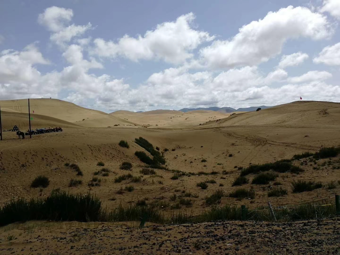 desert.jpg desert.jpg