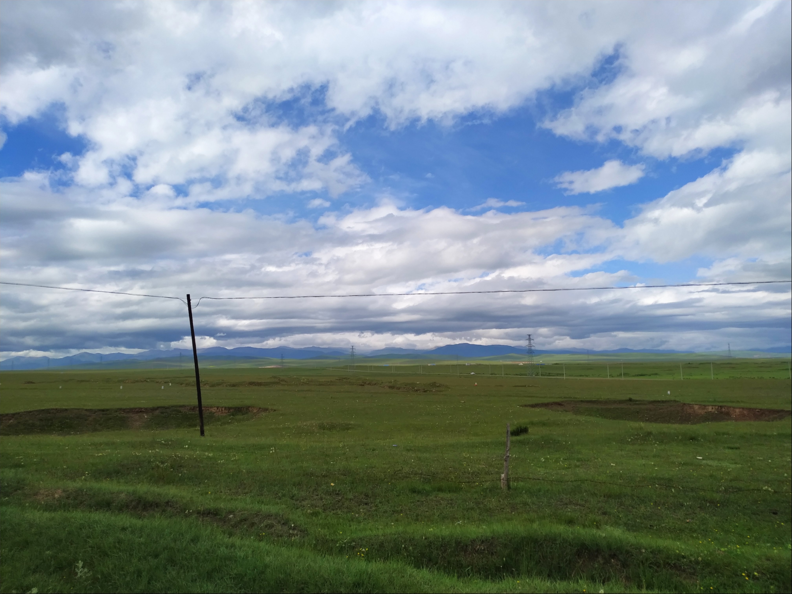 grassland1.jpg grassland1.jpg
